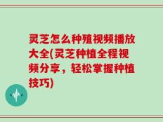 灵芝怎么种殖视频播放大全(灵芝种植全程视频分享，轻松掌握种植技巧)