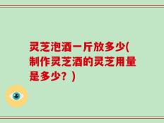 灵芝泡酒一斤放多少(制作灵芝酒的灵芝用量是多少？)