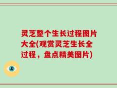 灵芝整个生长过程图片大全(观赏灵芝生长全过程，盘点精美图片)