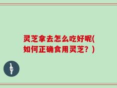 灵芝拿去怎么吃好呢(如何正确食用灵芝？)