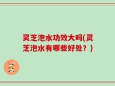 灵芝泡水功效大吗(灵芝泡水有哪些好处？)