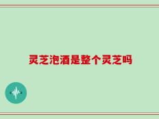 灵芝泡酒是整个灵芝吗