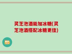 灵芝泡酒能加冰糖(灵芝泡酒搭配冰糖更佳)