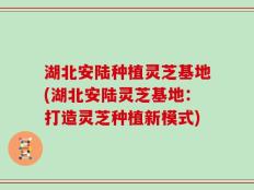 湖北安陆种植灵芝基地(湖北安陆灵芝基地：打造灵芝种植新模式)