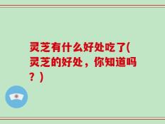灵芝有什么好处吃了(灵芝的好处，你知道吗？)