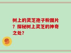 树上的灵芝孢子粉图片？探秘树上灵芝的神奇之处？
