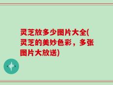 灵芝放多少图片大全(灵芝的美妙色彩，多张图片大放送)