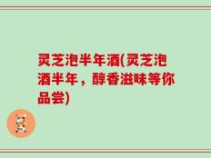 灵芝泡半年酒(灵芝泡酒半年，醇香滋味等你品尝)