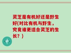 灵芝是有机好还是野生好(对比有机与野生，究竟谁更适合灵芝的生长？)