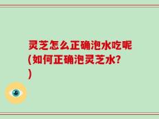 灵芝怎么正确泡水吃呢(如何正确泡灵芝水？)