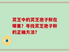 灵芝中的灵芝孢子粉在哪里？寻找灵芝孢子粉的正确方法？