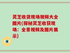 灵芝收货现场视频大全图片(探秘灵芝收获现场：全景视频及图片展示)