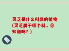 灵芝是什么科属的植物(灵芝属于哪个科，你知道吗？)