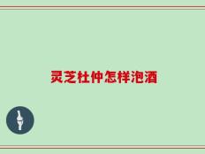 灵芝杜仲怎样泡酒