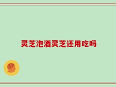 灵芝泡酒灵芝还用吃吗