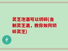 灵芝泡酒可以切碎(自制灵芝酒，教你如何切碎灵芝)