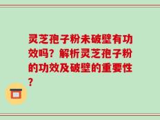 灵芝孢子粉未破壁有功效吗？解析灵芝孢子粉的功效及破壁的重要性？