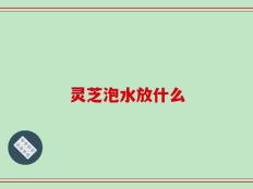 灵芝泡水放什么