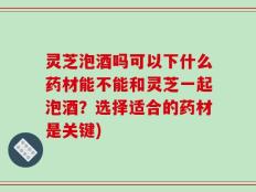 灵芝泡酒吗可以下什么药材能不能和灵芝一起泡酒？选择适合的药材是关键)