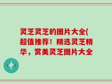 灵芝灵芝的图片大全(超值推荐！精选灵芝精华，赏美灵芝图片大全