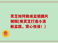 灵芝如何做成盆栽图片视频(用灵芝打造小清新盆栽，赏心悦目！)