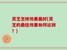 灵芝怎样效果最好(灵芝的最佳效果如何达到？)