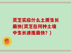 灵芝实应什么土质生长最快(灵芝在何种土壤中生长速度最快？)