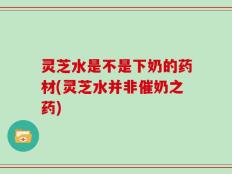 灵芝水是不是下奶的药材(灵芝水并非催奶之药)