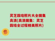 灵芝栽培照片大全图集高清(高清图集：灵芝栽培全过程精美照片)