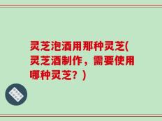 灵芝泡酒用那种灵芝(灵芝酒制作，需要使用哪种灵芝？)