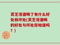 灵芝浸酒喝了有什么好处和坏处(灵芝浸酒喝的好处与坏处你知道吗？)