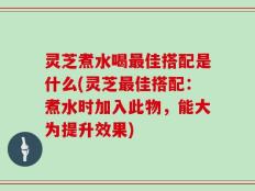 灵芝煮水喝最佳搭配是什么(灵芝最佳搭配：煮水时加入此物，能大为提升效果)