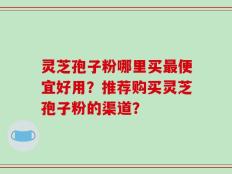 灵芝孢子粉哪里买最便宜好用？推荐购买灵芝孢子粉的渠道？