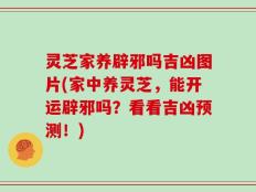 灵芝家养辟邪吗吉凶图片(家中养灵芝，能开运辟邪吗？看看吉凶预测！)