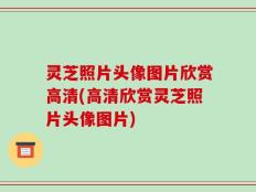 灵芝照片头像图片欣赏高清(高清欣赏灵芝照片头像图片)