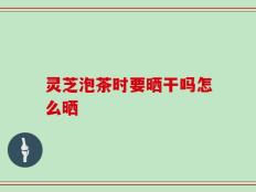 灵芝泡茶时要晒干吗怎么晒