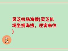 灵芝机场海拨(灵芝机场坐拥海拔，迎客来往)