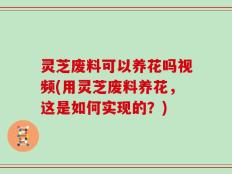 灵芝废料可以养花吗视频(用灵芝废料养花，这是如何实现的？)
