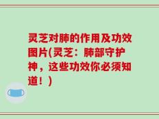 灵芝对肺的作用及功效图片(灵芝：肺部守护神，这些功效你必须知道！)