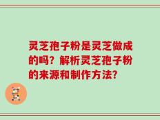 灵芝孢子粉是灵芝做成的吗？解析灵芝孢子粉的来源和制作方法？