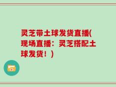 灵芝带土球发货直播(现场直播：灵芝搭配土球发货！)