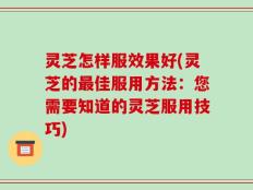 灵芝怎样服效果好(灵芝的最佳服用方法：您需要知道的灵芝服用技巧)