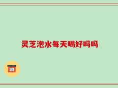 灵芝泡水每天喝好吗吗