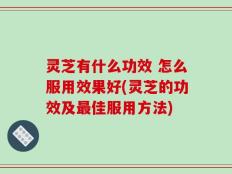 灵芝有什么功效 怎么服用效果好(灵芝的功效及最佳服用方法)