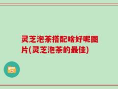 灵芝泡茶搭配啥好呢图片(灵芝泡茶的最佳)