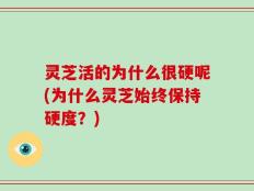 灵芝活的为什么很硬呢(为什么灵芝始终保持硬度？)