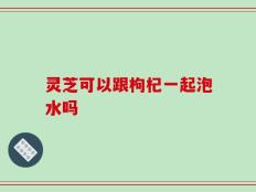 灵芝可以跟枸杞一起泡水吗