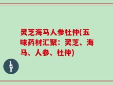 灵芝海马人参杜仲(五味药材汇聚：灵芝、海马、人参、杜仲)