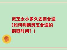 灵芝太小多久去摘合适(如何判断灵芝合适的摘取时间？)