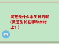 灵芝是什么木生长的呢(灵芝生长在哪种木材上？)